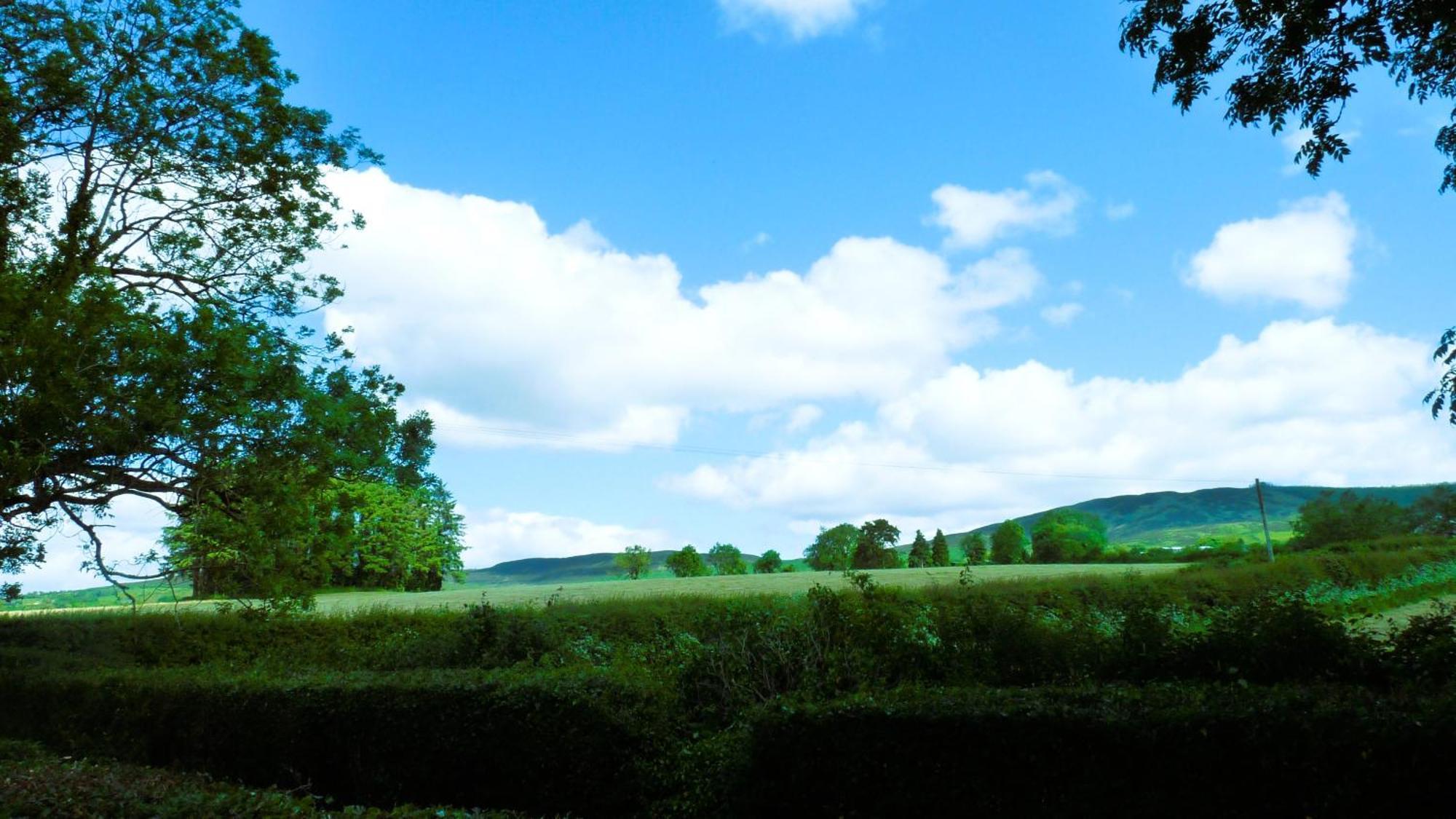 An Garrai Mor Hotel Omagh Exterior photo